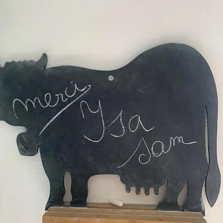 Cosy En Plein Coeur Du Touquet 公寓