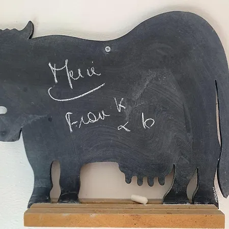 公寓 Cosy En Plein Coeur Du Touquet 勒图凯－巴黎普拉日