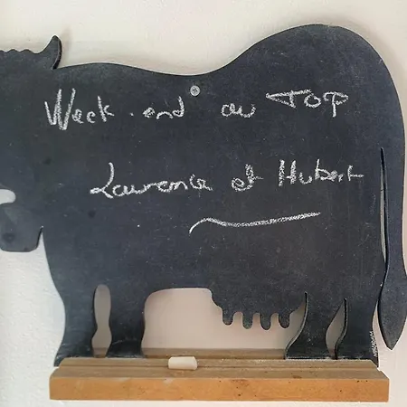 公寓 Cosy En Plein Coeur Du Touquet