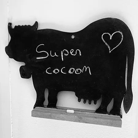 Cosy En Plein Coeur Du Touquet Apartmán