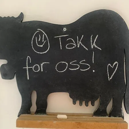 Appartement Cosy En Plein Cœur Du Touquet