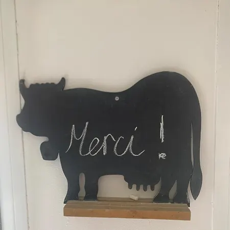 Cosy En Plein Coeur Du Touquet Le Touquet