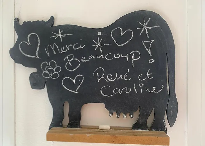 Cosy En Plein Coeur Du Touquet