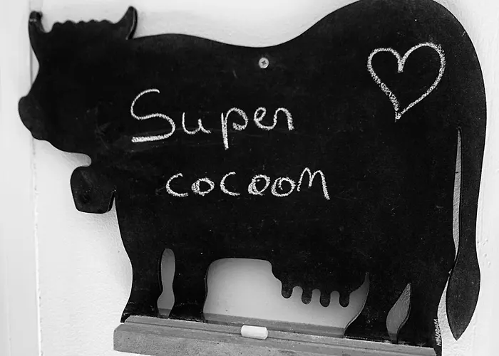 Cosy En Plein Coeur Du Touquet Διαμέρισμα